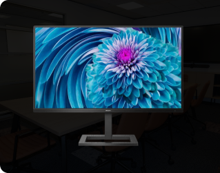 Monitors